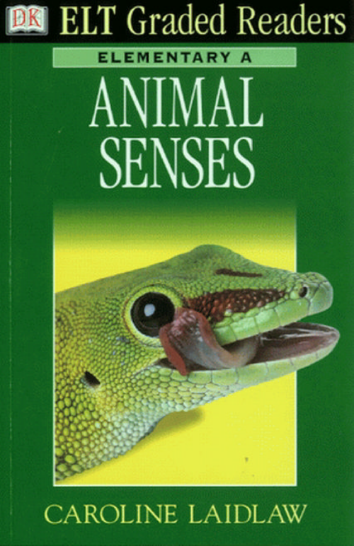 09e8ba211d10.png